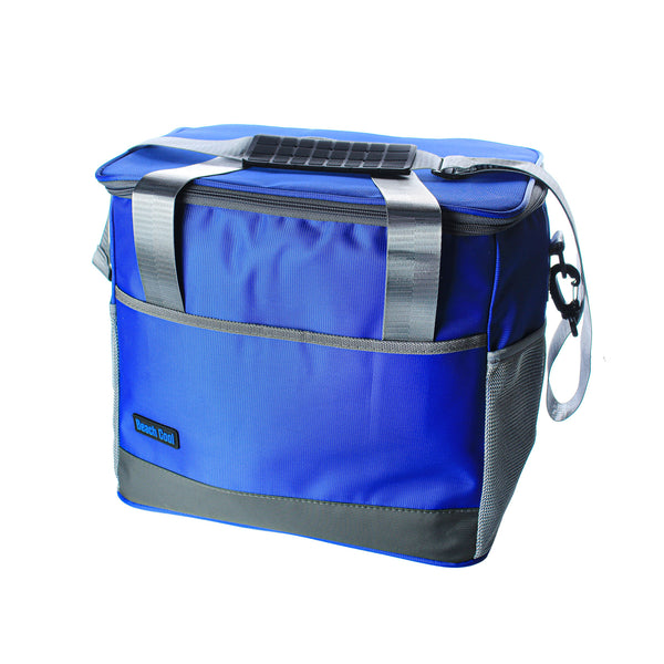26 L حقيبة غداء معزولة من بيتش كول