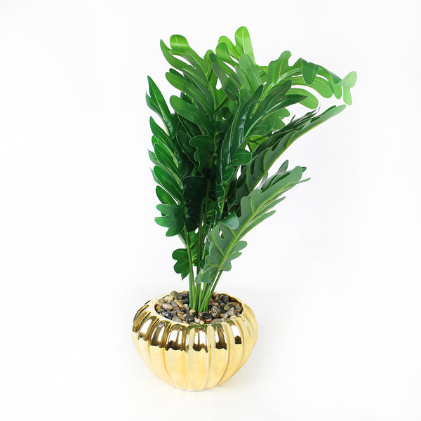 Decorative plant with a golden base, height 35 cm