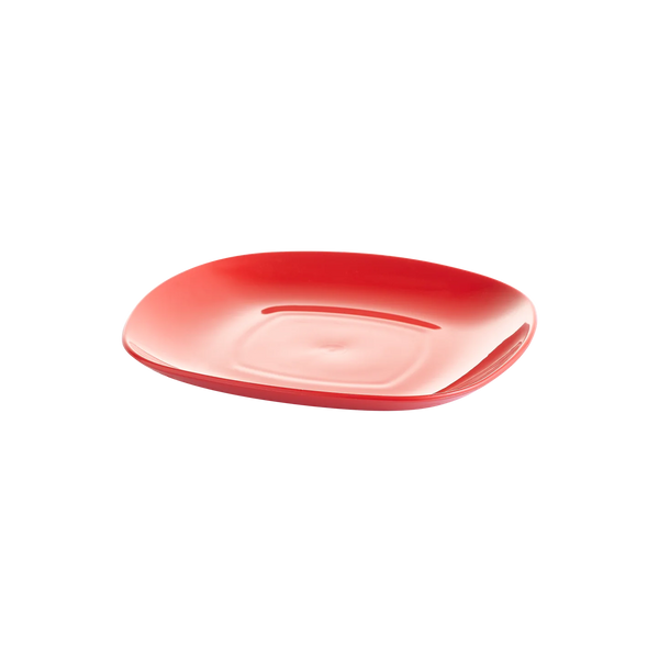 Flat plastic plate size 20 cm